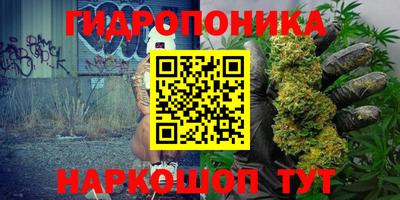 спиды Кинель