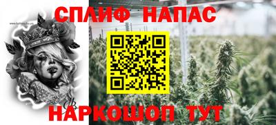 спиды Кинель