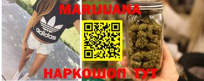 spice Кингисепп