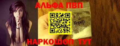 spice Кингисепп