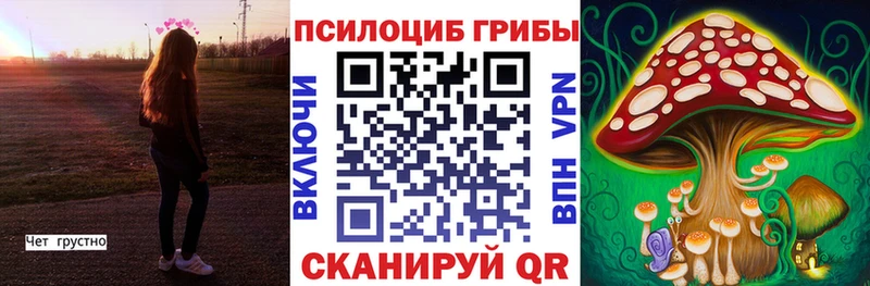 сколько стоит  Ялта  Галлюциногенные грибы прущие грибы 